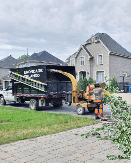 Transport des déchets d'arbre vers le camion